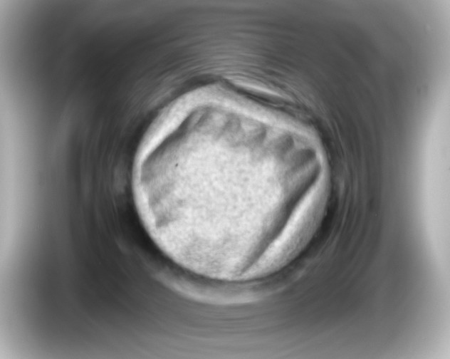 X0000085780032200704091420