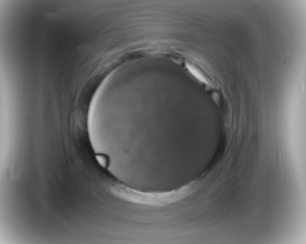 X0000085780035200704091420