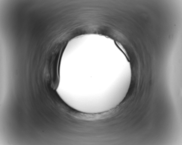 X0000085780037200704091420