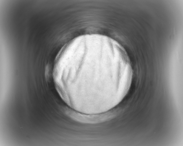 X0000085780038200704091420