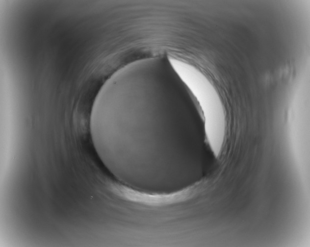 X0000085780039200704091420