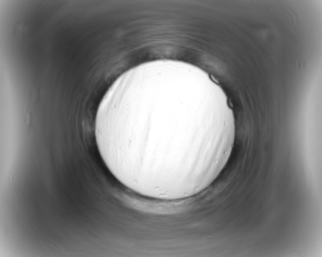 X0000085780040200704091420