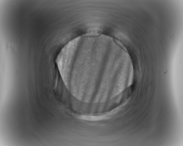 X0000085780041200704091420