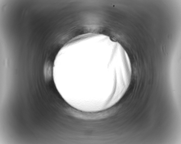 X0000085780042200704091420