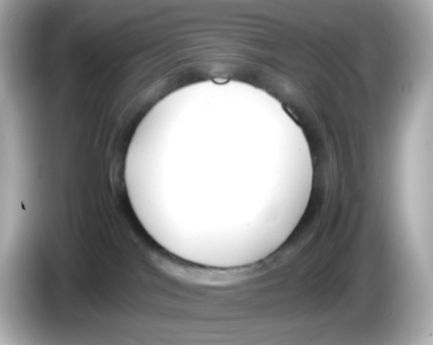 X0000085780044200704091420