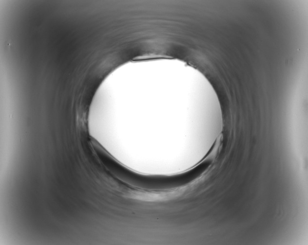 X0000085780045200704091420