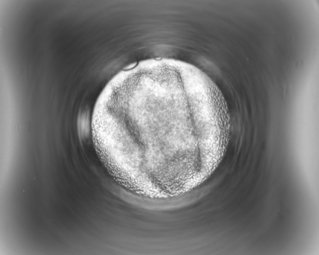 X0000085780046200704091420