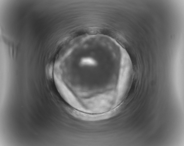 X0000085780047200704091420