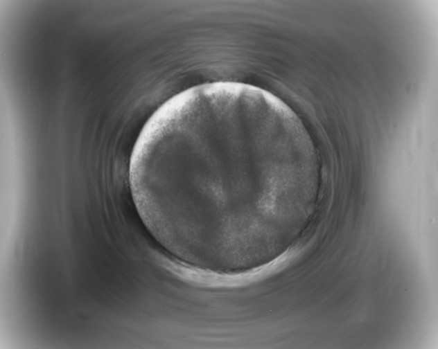 X0000085780048200704091420