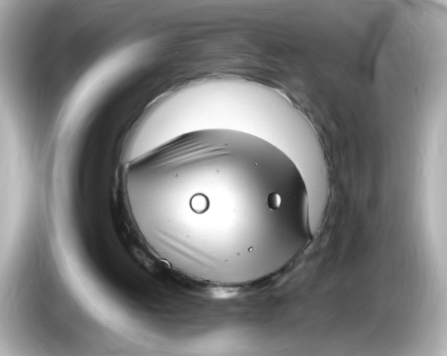 X0000085780052200704091419