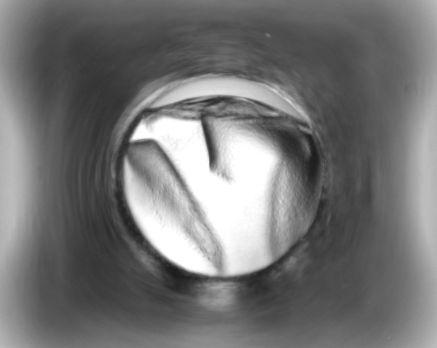 X0000085780055200704091419