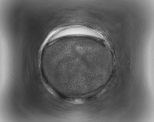 X0000085780056200704091419