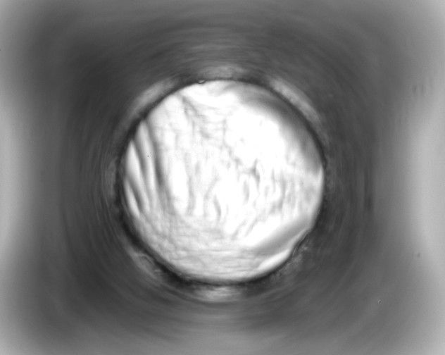 X0000085780058200704091419