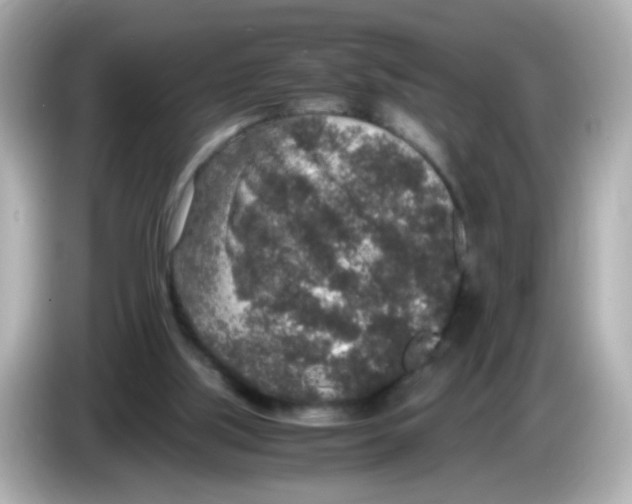 X0000085780059200704091419