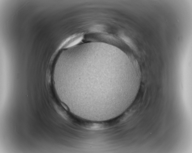 X0000085780060200704091419