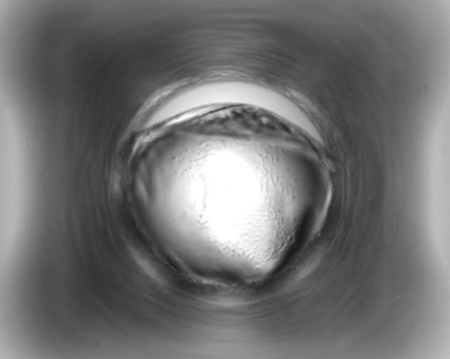 X0000085780064200704091419