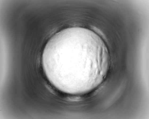 X0000085780065200704091419