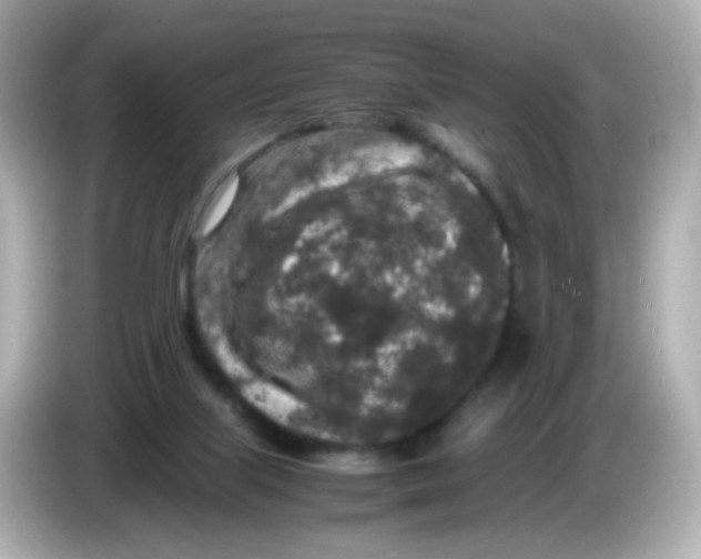 X0000085780067200704091419