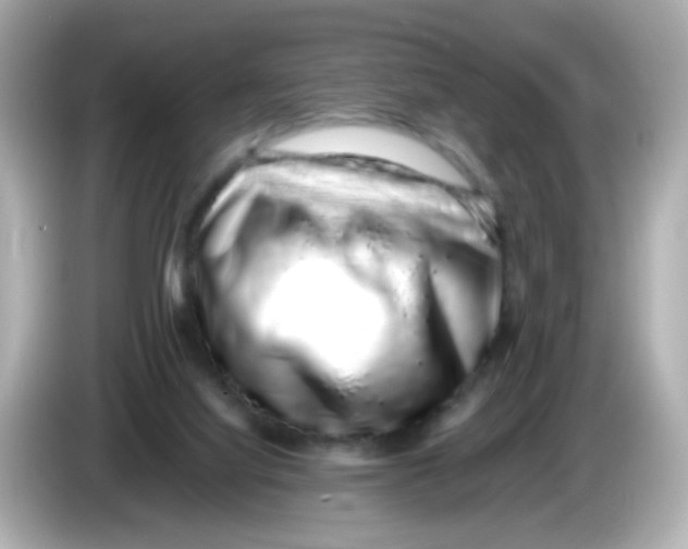 X0000085780068200704091419