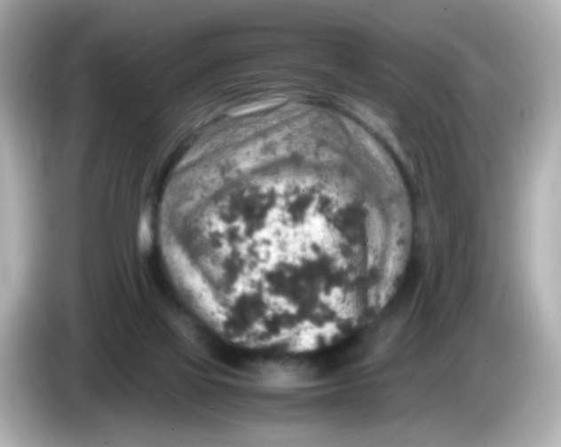 X0000085780069200704091419