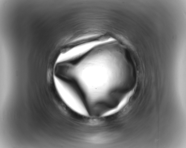 X0000085780070200704091419