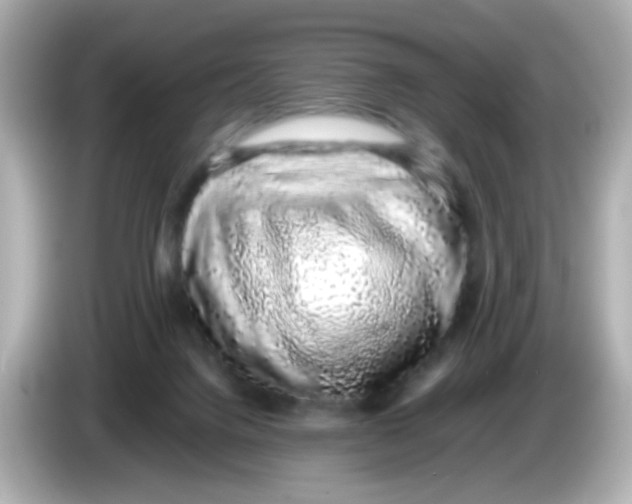 X0000085780072200704091419