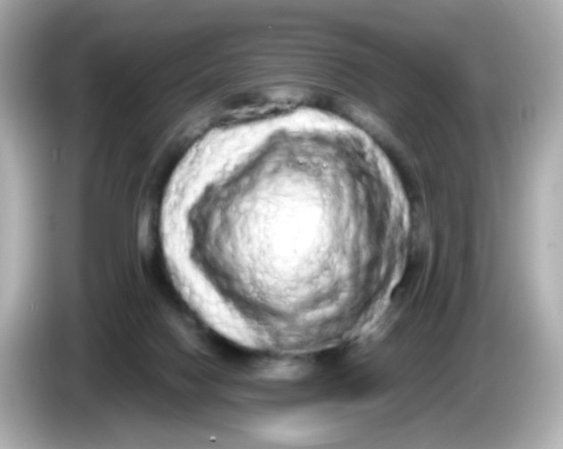 X0000085780074200704091419