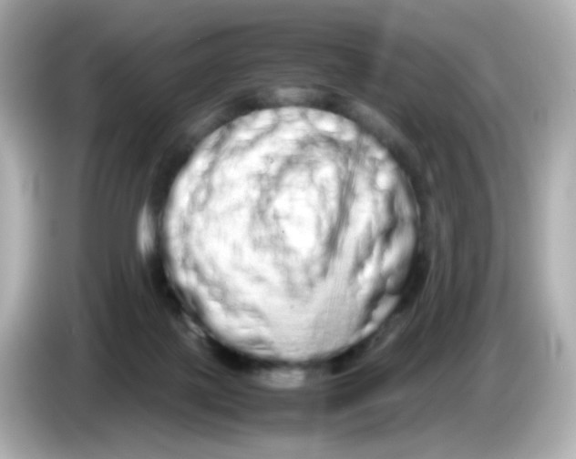 X0000085780075200704091419