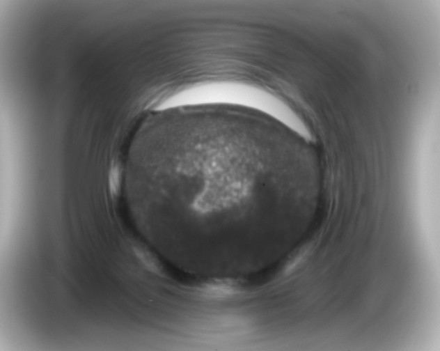 X0000085780076200704091419