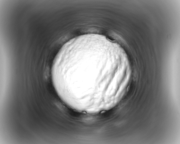 X0000085780077200704091419