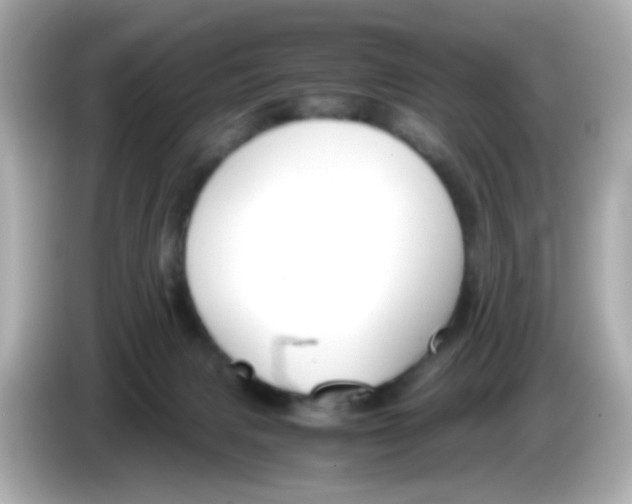 X0000085780079200704091419