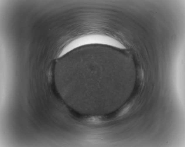 X0000085780080200704091419