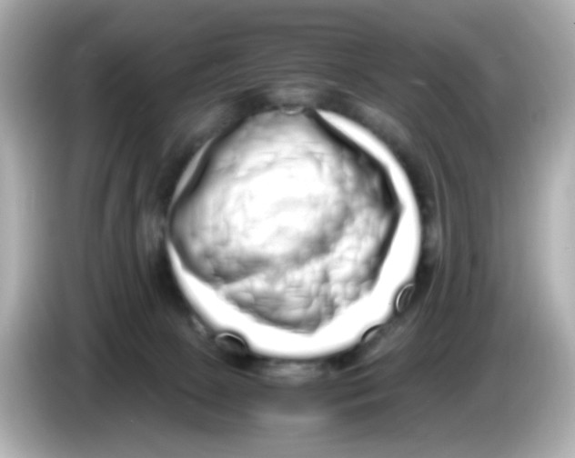 X0000085780081200704091419