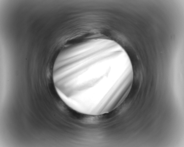 X0000085780084200704091419