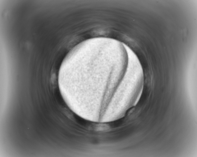 X0000085780087200704091419