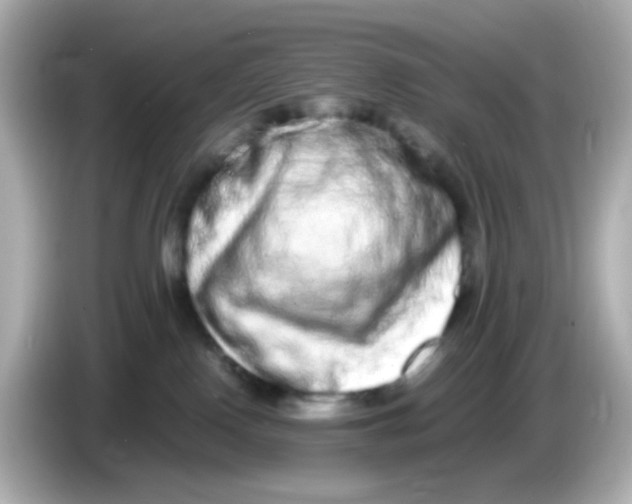 X0000085780090200704091419