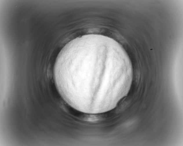 X0000085780091200704091419