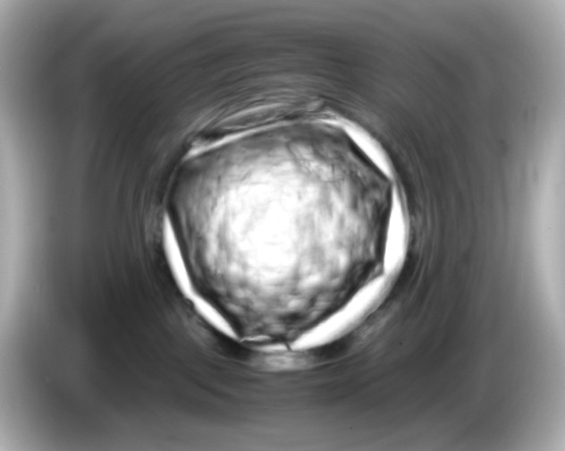 X0000085780093200704091419