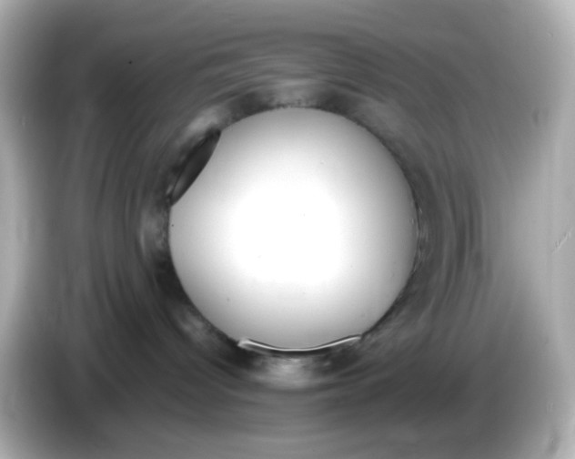 X0000085780096200704091420