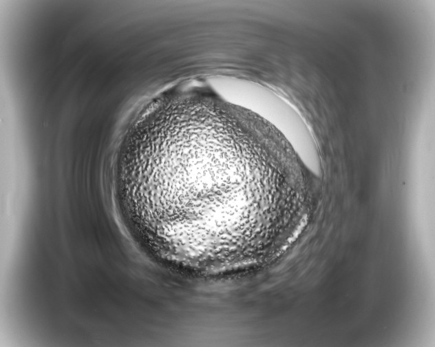 X0000085780097200704091419