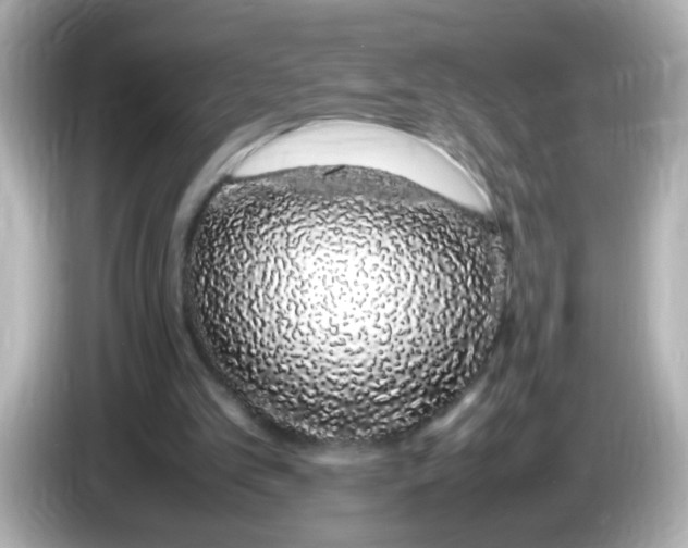 X0000085780101200704091419