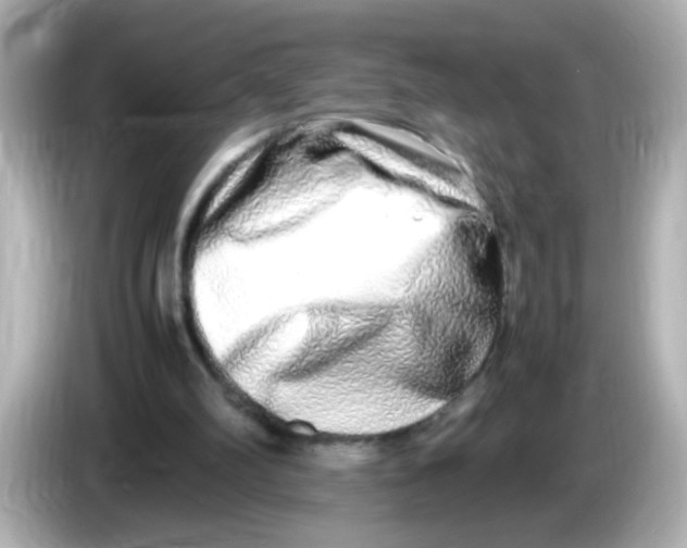 X0000085780102200704091419