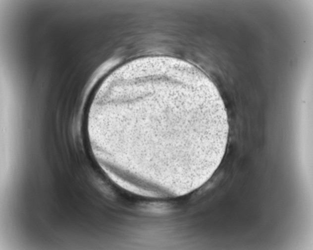 X0000085780104200704091419