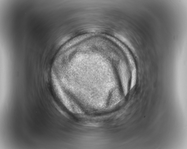 X0000085780105200704091419