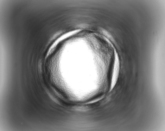 X0000085780106200704091419