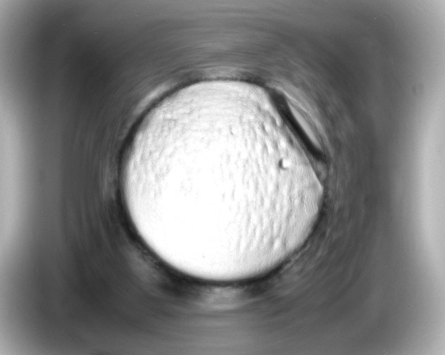 X0000085780107200704091419