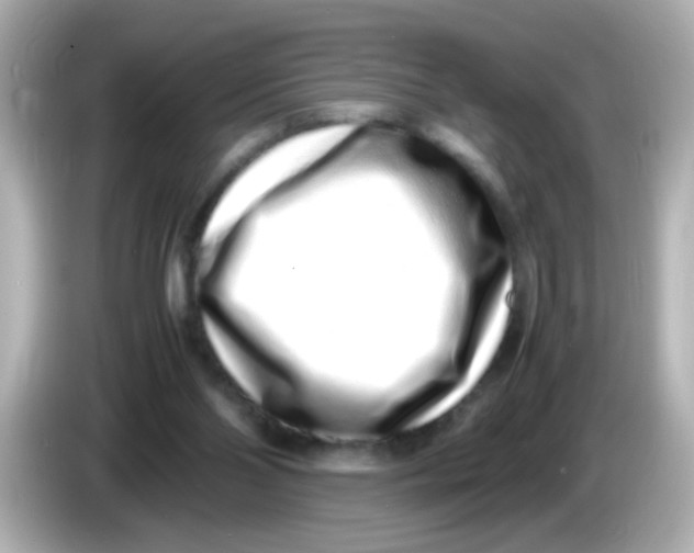 X0000085780110200704091419