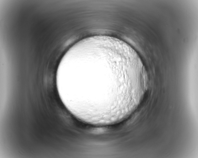 X0000085780111200704091419