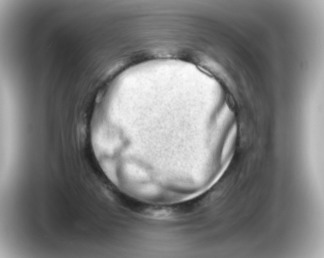 X0000085780113200704091419