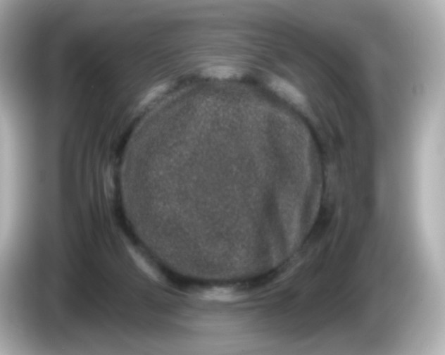 X0000085780114200704091419